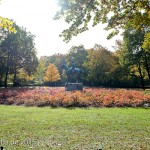 Reiterstandbild “Amazone zu Pferd” von Louis Tuaillon im Großen Tiergarten in Berlin, Zustand: Oktober 2015.