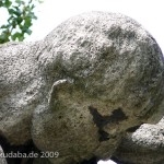 Denkmal Rudolf Virchow auf dem Karlplatz in Berlin-Mitte von Fritz Klimsch, Detailansicht der Skulptur