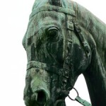 Reiterdenkmal Wilhelm I. in Lübeck von Louis Tuaillon, Detailansicht des Pferdes