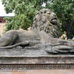 Gefallenen-Denkmal in Alt-Lietzow mit einem auf einem Sarkophag ruhenden Löwen in Berlin-Charlottenburg, Detailansicht vom Löwen