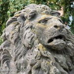 Gefallenen-Denkmal in Alt-Lietzow mit einem auf einem Sarkophag ruhenden Löwen in Berlin-Charlottenburg, Detailansicht vom Löwenkopf