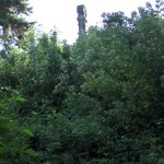 Schildhorn-Denkmal in Berlin-Grunewald von Friedrich August Stüler