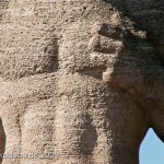 Gefallenen-Denkmal von Eberhard Encke von 1924 in der Baerwaldstrasse in Berlin-Kreuzberg, Detailansicht der Skulptur