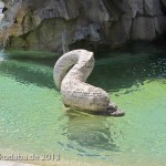 Vierströmebrunnen auf der Piazza Navona in Rom, Ansicht des Sockels