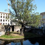 Zustand des Fundaments für das ehemalige Nationaldenkmal Wilhelm I. im Oktober 2014